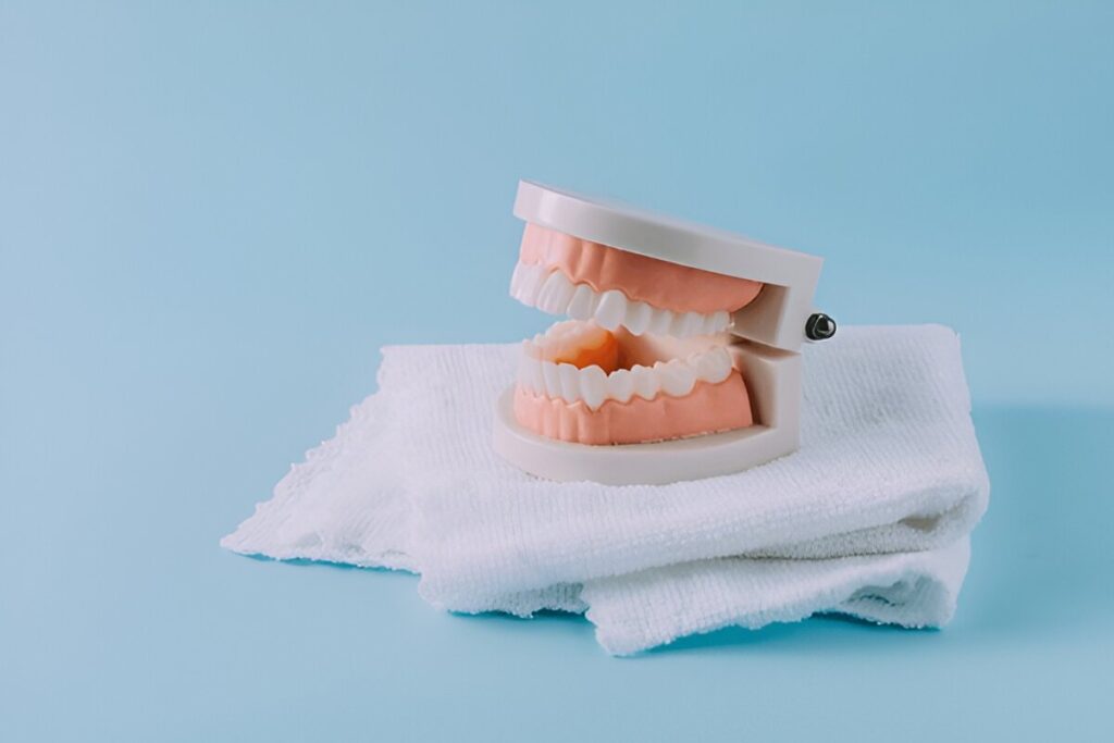 Model of full dentures on a white cloth against a blue background
